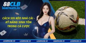 Cách soi kèo nhà cái