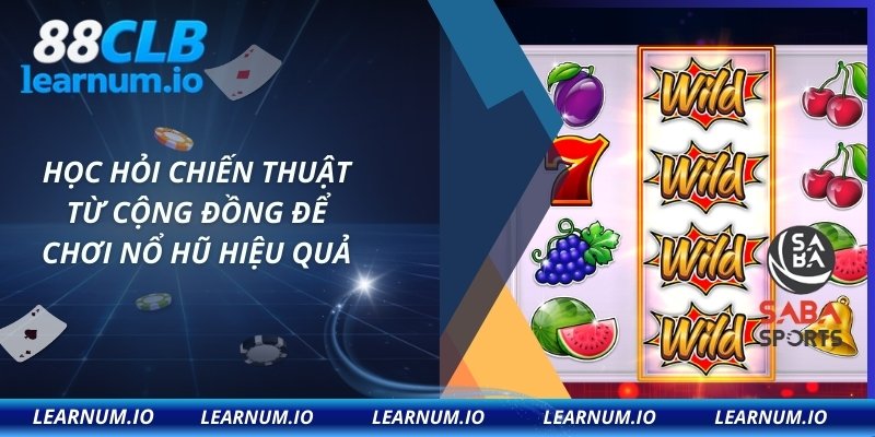 Học hỏi chiến thuật từ cộng đồng để chơi nổ hũ hiệu quả