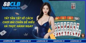 Cách chơi bài chắn